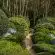 green plants on brown brick pathway